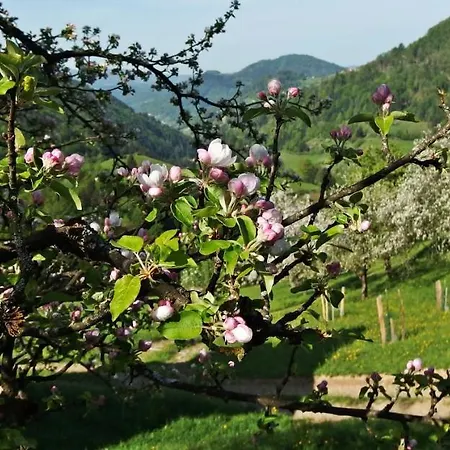 Apartamento Kmetija Na Cendavs Cerkno