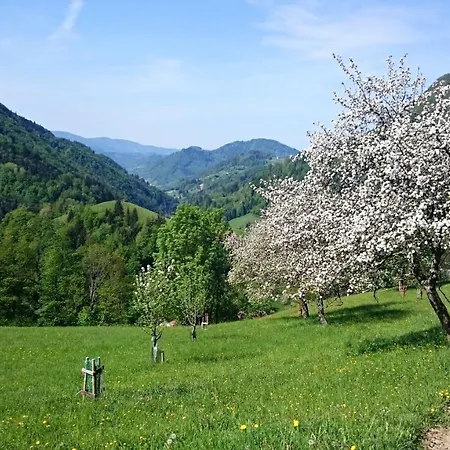 Kmetija Na Cendavs Apartamento Cerkno