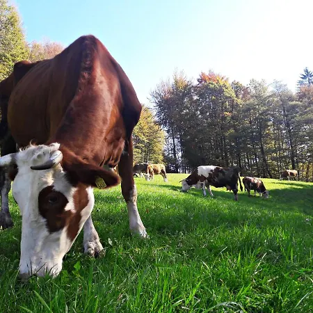 Apartamento Kmetija Na Cendavs