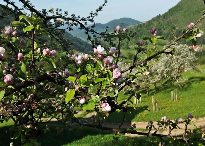 Appartement Kmetija Na Cendavs Cerkno