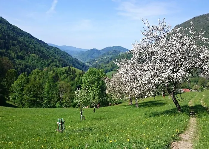 Kmetija Na Cendavs Apartmán Cerkno