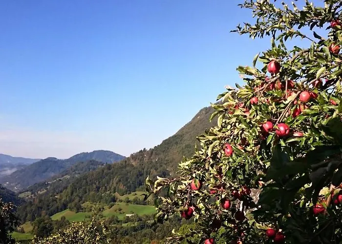 Kmetija Na Cendavs Apartmán *