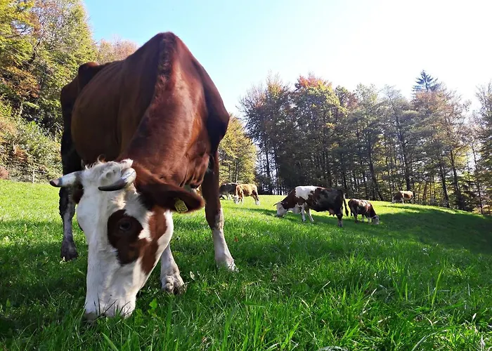 Apartmán Kmetija Na Cendavs
